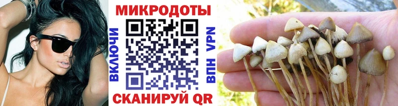 Галлюциногенные грибы Psilocybe  blacksprut зеркало  Апшеронск 